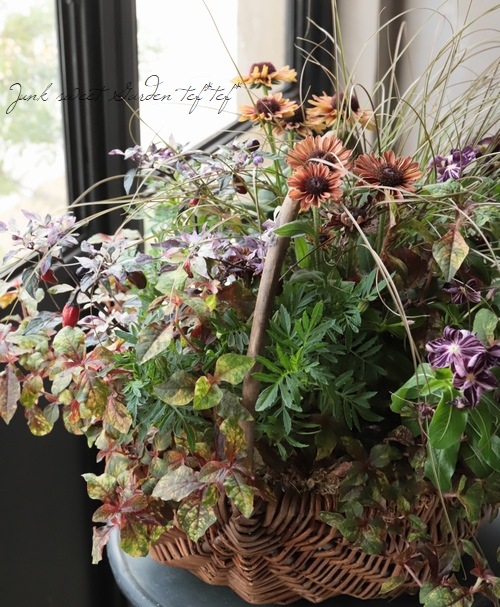 -TEFNIQUE-�󤻿��� 2019 * no.40 *���زƤλפ��ХХ����åȡ�