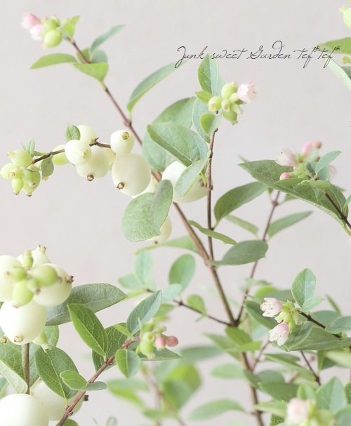 ��¥���ե��ꡦ����ݥ����إޥ����륮��饯������