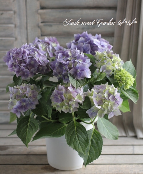 秋色紫陽花 『星がすり』 | すべての商品 | | Junk sweet Garden tef*tef*