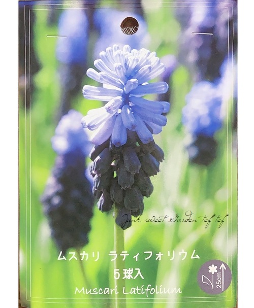 ߺ ڵ庬 ॹꡡإƥեꥦ 庬4