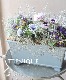 ڿֱव󥪥ꥸʥ Ȭź餭ͥ إե֥ 