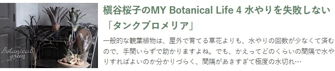 ���󥯥֥���ꥢ�������ᥢ���إ������ǥ�����Hyb��