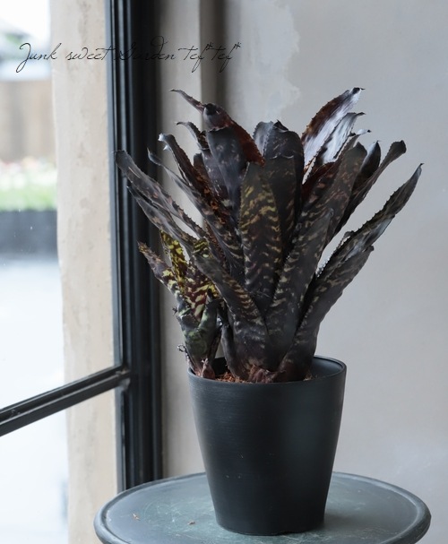 ���󥯥֥���ꥢ�������ᥢ���إ������ǥ�����Hyb��