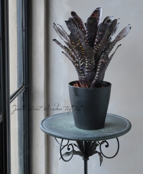 ���󥯥֥���ꥢ�������ᥢ���إ������ǥ�����Hyb��