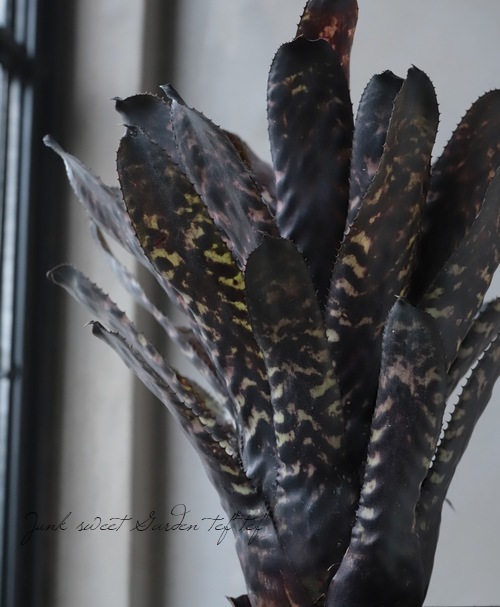 ���󥯥֥���ꥢ�������ᥢ���إ������ǥ�����Hyb��