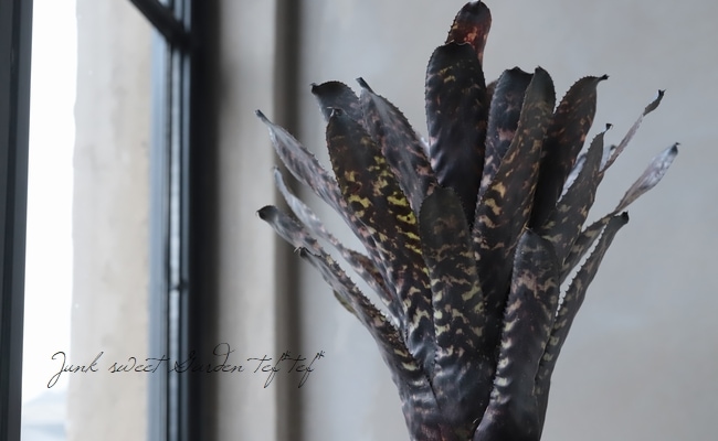 ���󥯥֥���ꥢ�������ᥢ���إ������ǥ�����Hyb��