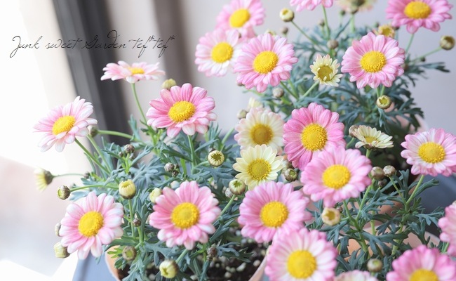�ޡ�����å� �إϡ���ˡ��١�