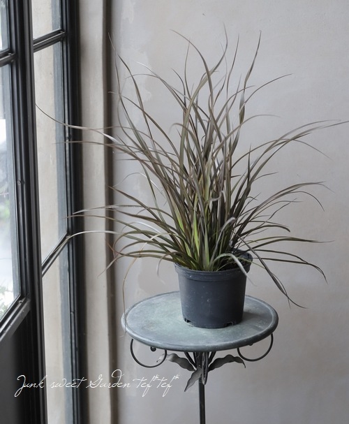 �˥塼������󡡡إ���å����ץ�åȡ�