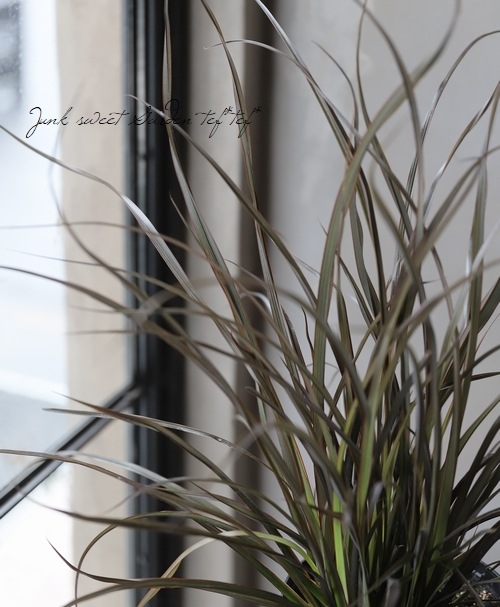 �˥塼������󡡡إ���å����ץ�åȡ�