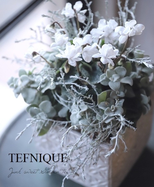 -TEFNIQUE-󤻿 2020 * no.50 *إۥ磻Xmasδ󤻿