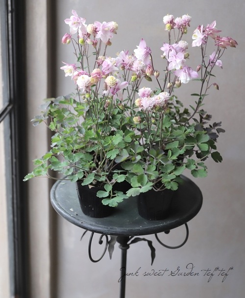 KEITA MARUYAMA  花モチーフ繋ぎミュール KEITA MARUYAMA 花モチーフ繋ぎミュール