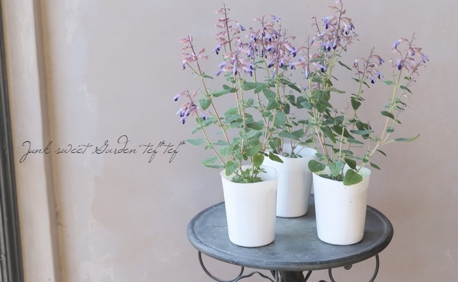 餭Хӥإߥȥ顼 󥿡