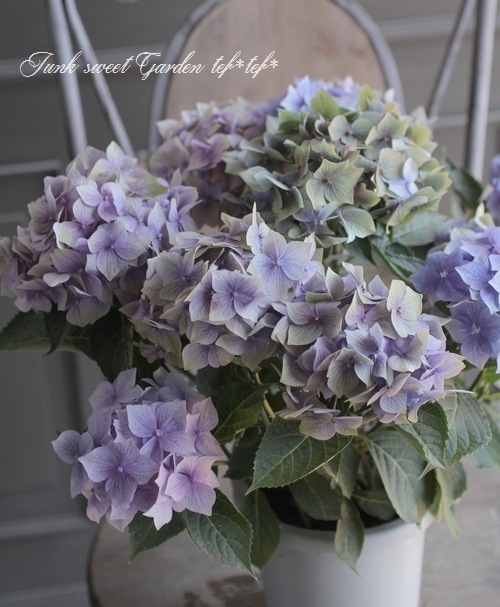 秋色紫陽花 『星がすり』 | すべての商品 | | Junk sweet Garden tef*tef*