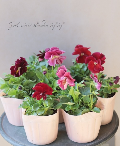 Ȭź餭ѥ󥸡إեӥ饹١磻