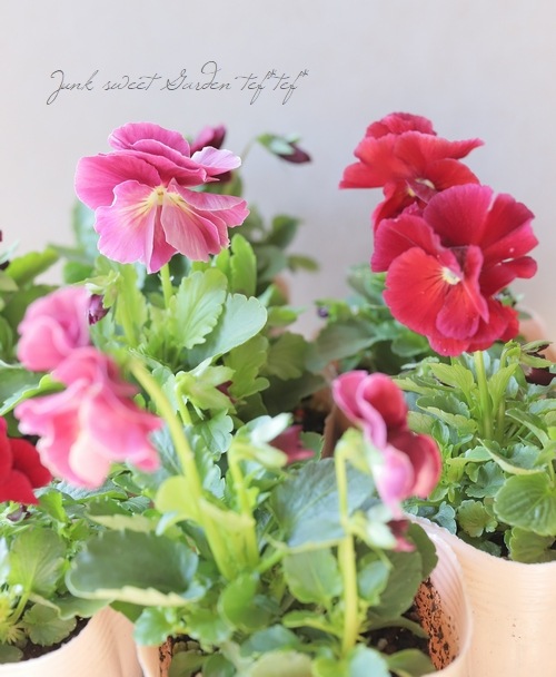 Ȭź餭ѥ󥸡إեӥ饹١磻