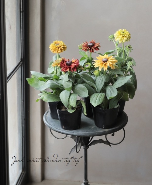 ��ɥ٥��� �إ������ߥå����١�Ȭ�ź餭��