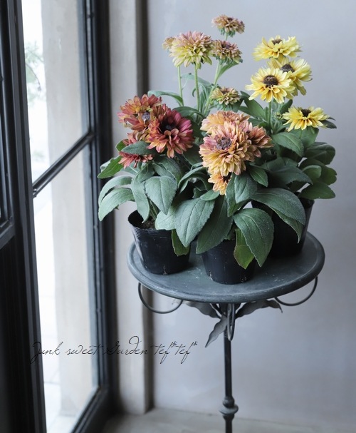 ��ɥ٥��� �إ������ߥå����١�Ȭ�ź餭��