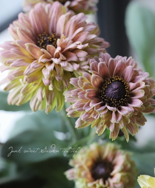 ��ɥ٥��� �إ������ߥå����١�Ȭ�ź餭��