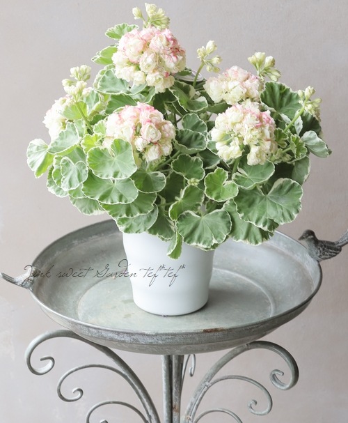 アップル様専用＊チェリーブロッサムまたはホワイトリッチ