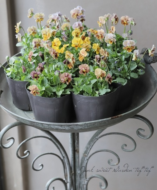 ����LUXURY SELECTION��tef*tef*���ꥸ�ʥ� �ӥ���إե����祳�ե���MIX���ڥե�뾯�ʤ��