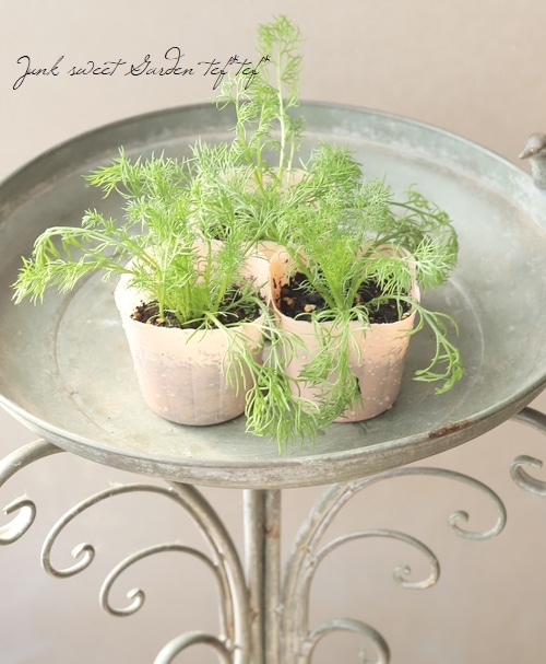 �ڥϡ��֡� �إ��㡼�ޥ󥫥�ߡ����