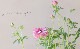�ڰ���ݤ�����ۥ�ʥ󥭥�饹����å������꡼�����إ���ԥ����١�