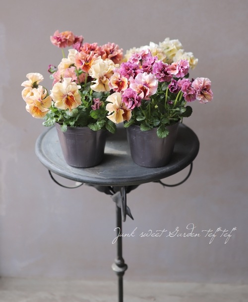 臘ꥸʥѥ󥸡ŷα MIX