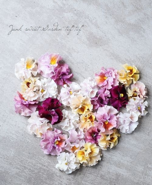 臘ꥸʥѥ󥸡ŷα MIX