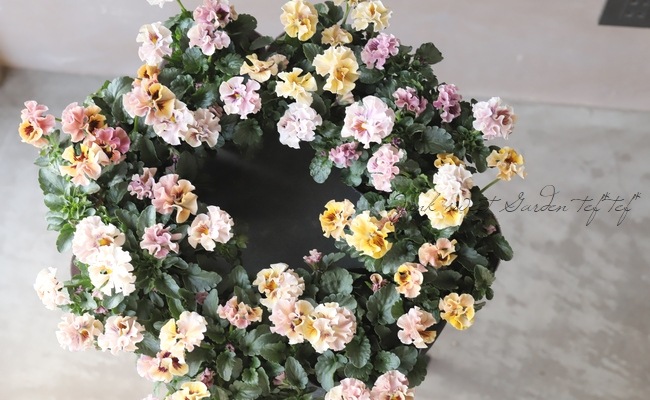 臘ꥸʥѥ󥸡ŷα MIX