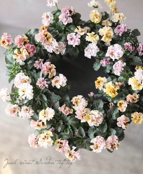 臘ꥸʥѥ󥸡ŷα MIX