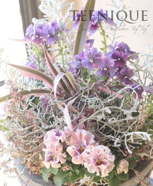 臘ꥸʥѥ󥸡ŷα MIX