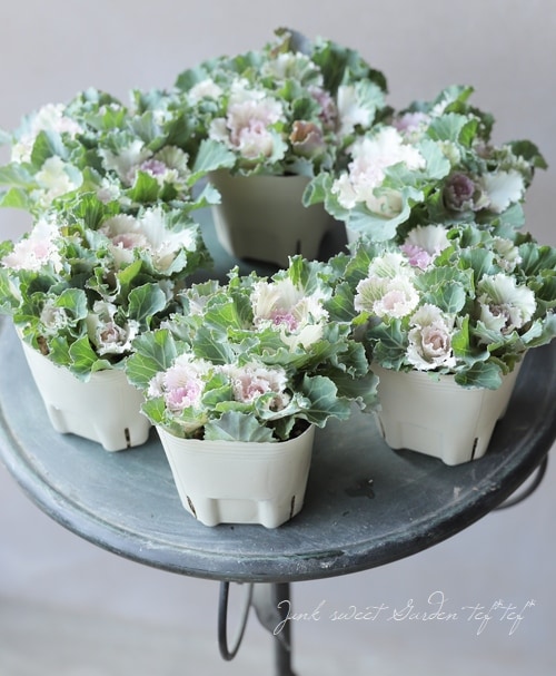 No. 176　ぽっぽちゃん 4点おまとめ ローズクォーツの四つ葉　蝶々③ 葉牡丹 『ローズクォーツ』 セッションシリーズ | すべての商品