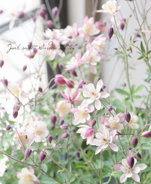 ���Υ����ޥ����إ���ƥ������ԥ󥯡�