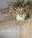 ٥꡼ ̾ؤĤ뤳١