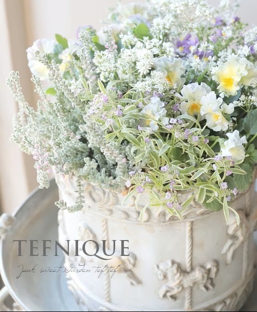 �ڻ��ߡۥ���� ��꡼��������01���ڥ����ܥ꡼�ߥ������/L�������ۡ�