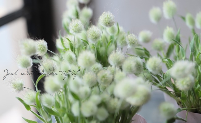 ラグラス オバタス バニーテール すべての商品 Junk Sweet Garden Tef Tef