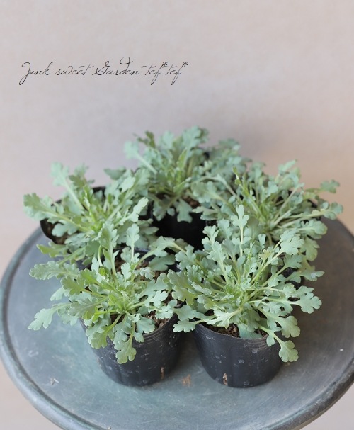 ���������֥ݥԡ����إ֥�å��ޥ��å���