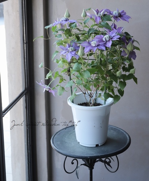 11_011000000297.jpg?1678209903