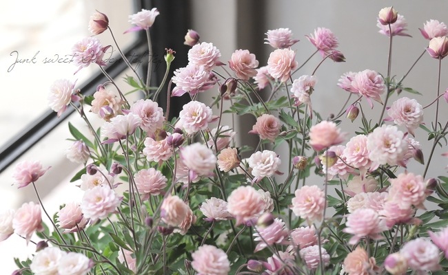 LUXURY SELECTIONtef*tef*ꥸʥ롪Ȭź餭ޥإ饷륻ԥ 1ʪA