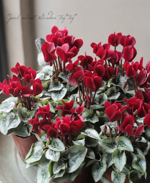 2_000000022497.jpg?1761321142