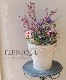 �ڴ󤻿�����-TEFNIQUE-�󤻿��� 2023 * no.01 *���إ��ץ�󥰡�������������� �١�����