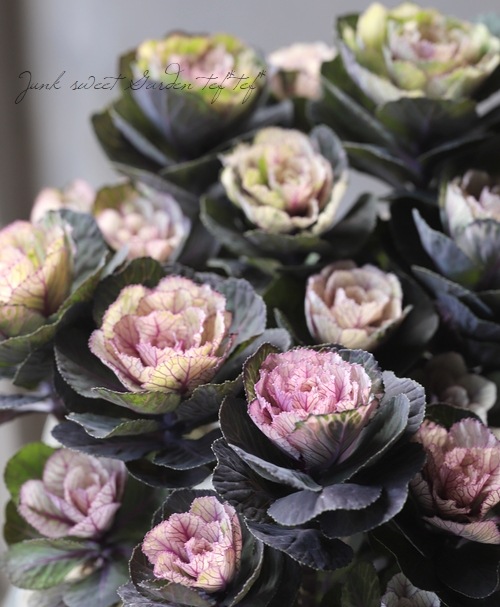 ƥ顼ղð٤Ωơ벻--١50%off