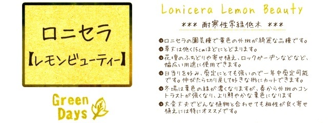 ���˥��顦�˥������إ���ӥ塼�ƥ���