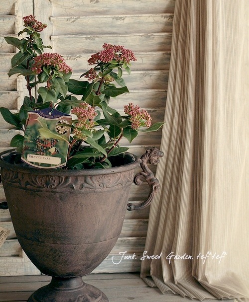 �ӥС��ʥࡡ�إƥ��̥��١����Х��ޥ���