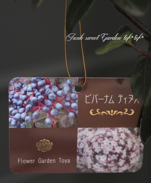 �ӥС��ʥࡡ�إƥ��̥��١����Х��ޥ���