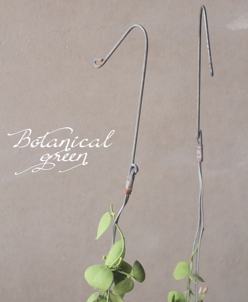 �ڴ��տ�ʪ�� �ǥ������ǥ��� �إ���֥ꥫ�����١�