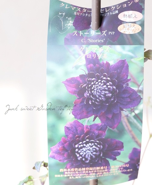 �ڵ���ե饰�꡼��ۥ���ޥ������ե�����ϡ��إ��ȡ��꡼���١�