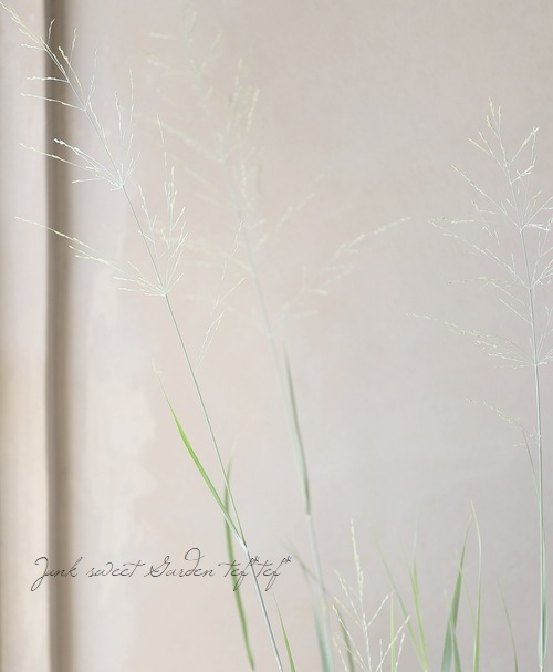 ���Ͼ����ʤ�10��off�ۡڥ��饹��ʪ�ۥѥ˥��� �إ��饹�֥롼���� 