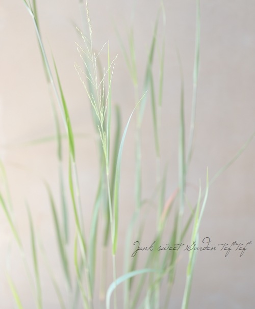 ���Ͼ����ʤ�10��off�ۡڥ��饹��ʪ�ۥѥ˥��� �إ��饹�֥롼���� 