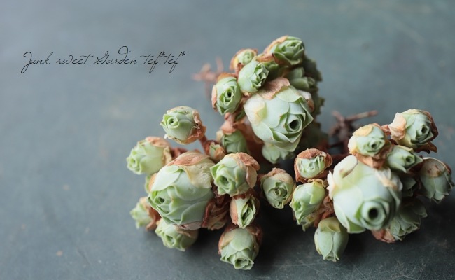 ��¿����ʪ�ۡ��إɥɥ�󥿥ꥹ�١����꡼�Υӥ�°